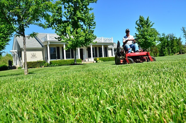 starting a lawn care business from scratch