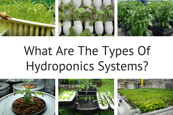 types of hydroponic systems