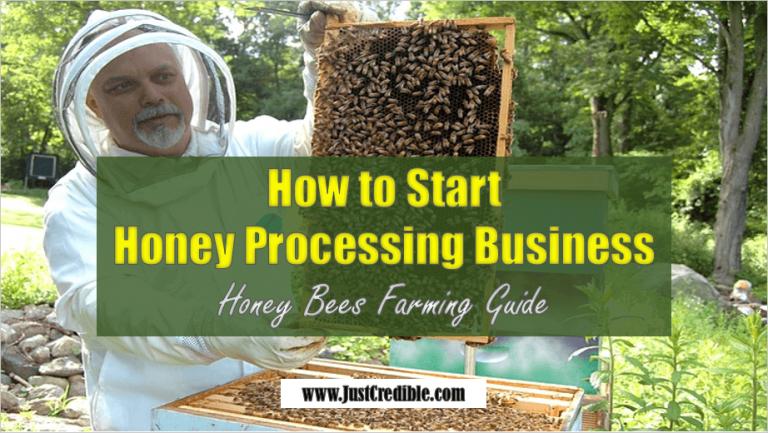 Honey Bee Farming: How to Start Honey Processing Business - Just Credible