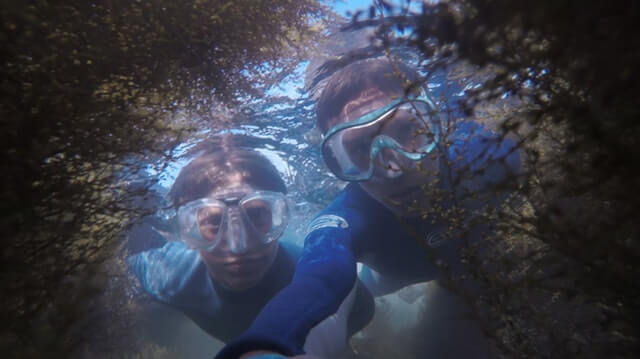 Buck Island, US Virgin Islands - most popular place for snorkeling