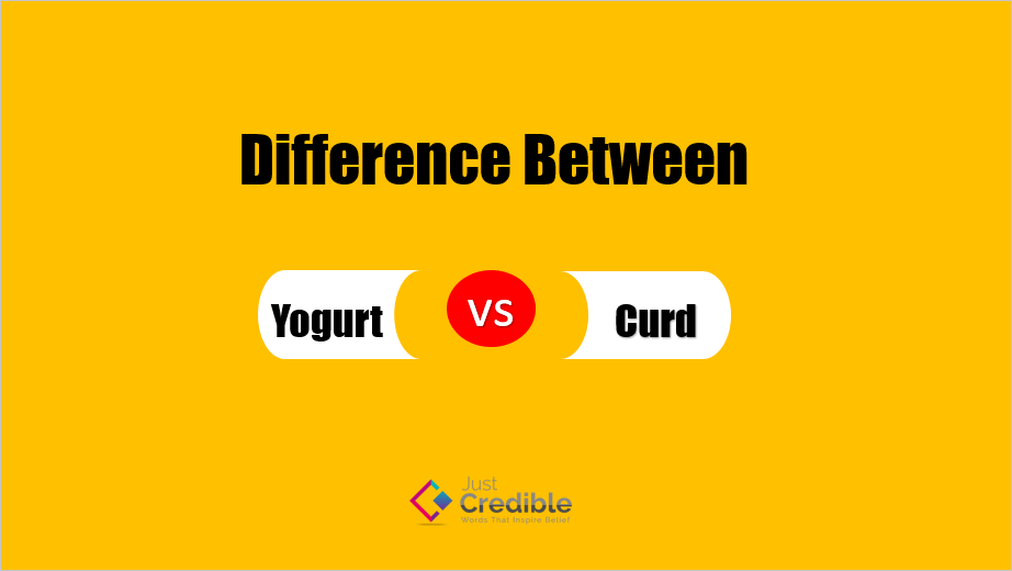 Difference Between Yogurt and Curd