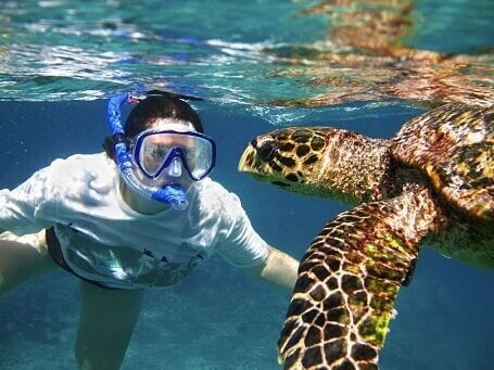 Galapagos Islands, South America -snorkeling-with-giant-turtles