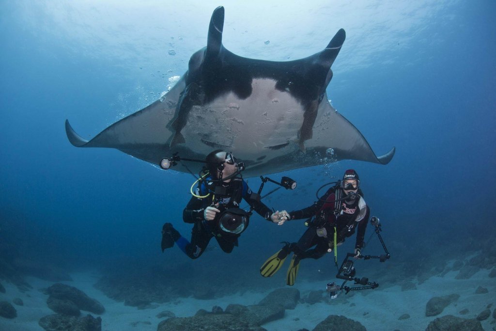 Komodo National Park, East Bali, Indonesia - best places to go snorkeling