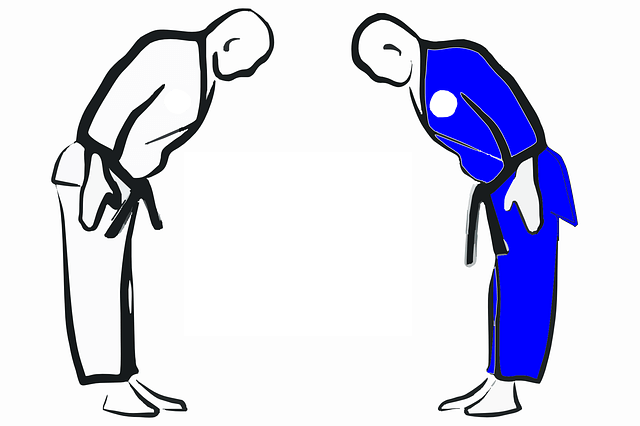 difference between taekwondo and karate