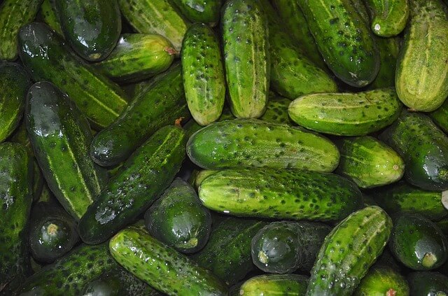 Top Cucumber Water Health Benefits