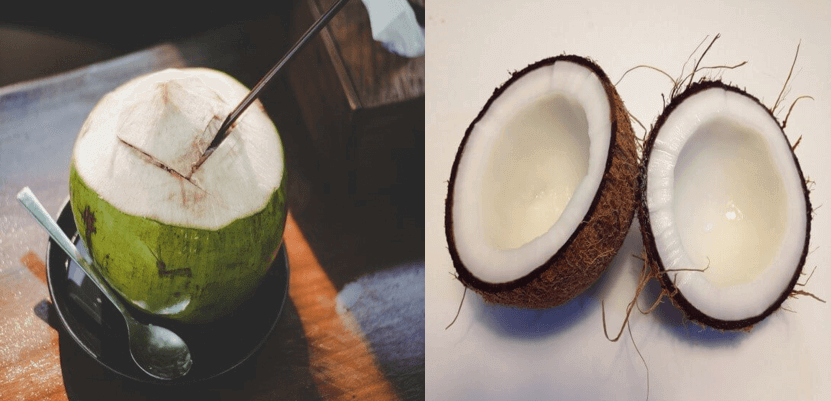 benefits of eating coconut meat