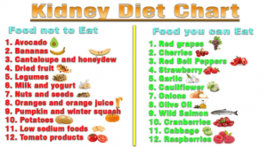 Lifestyle Changes for Keeping Kidneys in Healthy Shape - Just Credible