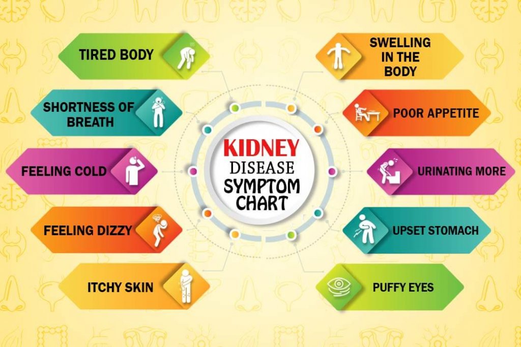 puffy eyes kidney disease Kidney chart symptom early justcredible ...