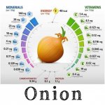 Top Health Benefits Of Onions - Just Credible