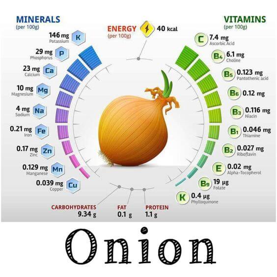 onion nutrition facts