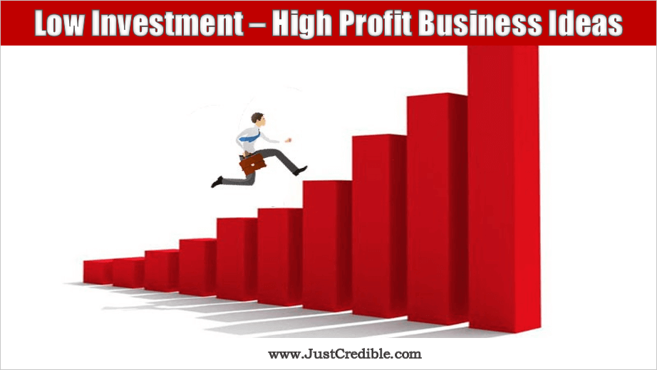 Low Investment High Profit Business Ideas